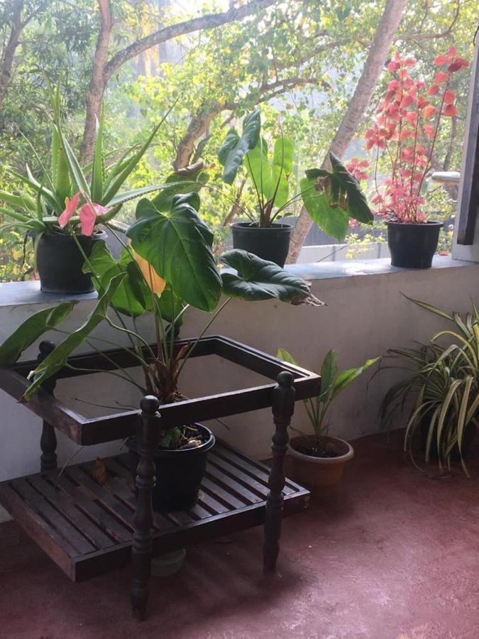 Marari Sibiya Beach Villa 马拉利库兰 外观 照片