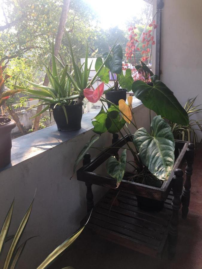 Marari Sibiya Beach Villa 马拉利库兰 外观 照片