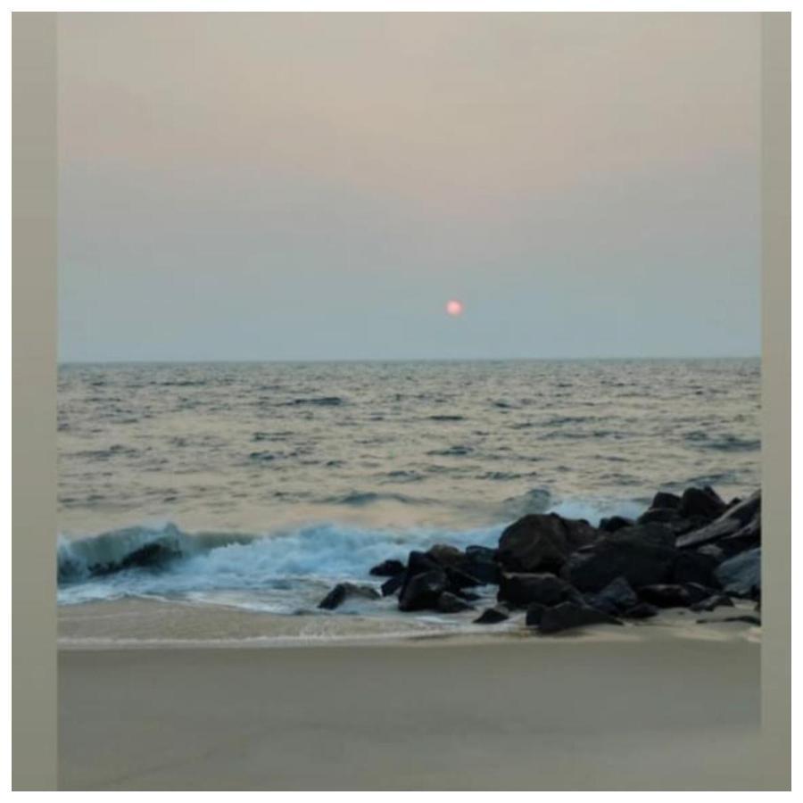 Marari Sibiya Beach Villa 马拉利库兰 外观 照片